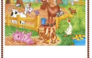 My life in the country
