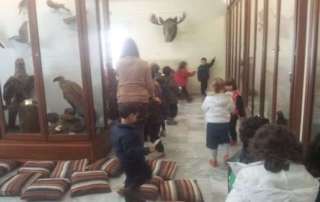Επίσκεψη στο Μουσείο Φυσικής Ιστορίας