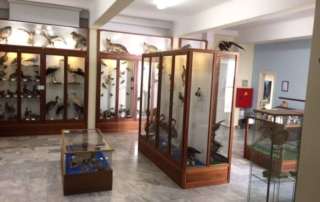 Δημιουργία ορυκτών