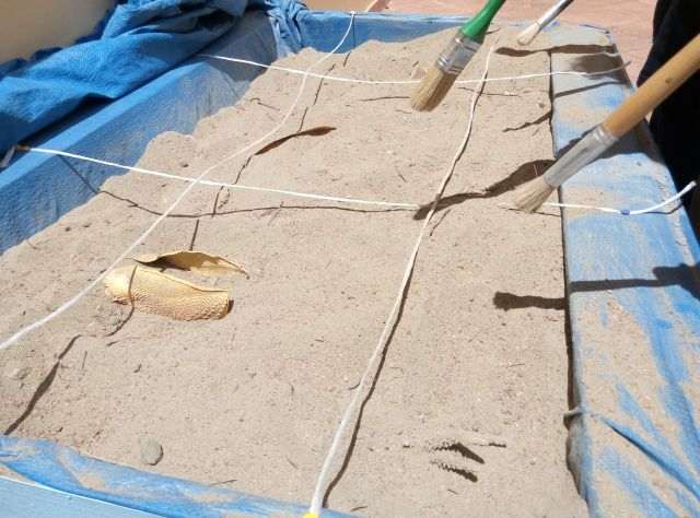 Το 9ο Δημοτικό Χαλκίδας στο Μουσείο Φυσικής Ιστορίας τής Φ.Ε.