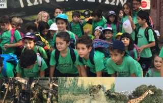 Περιήγηση και ξενάγηση στο Αττικό Ζωολογικό Πάρκο