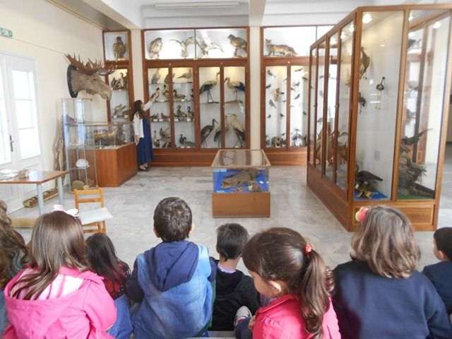Γνωρίζω το Μουσείο τού Μουσείου μας...