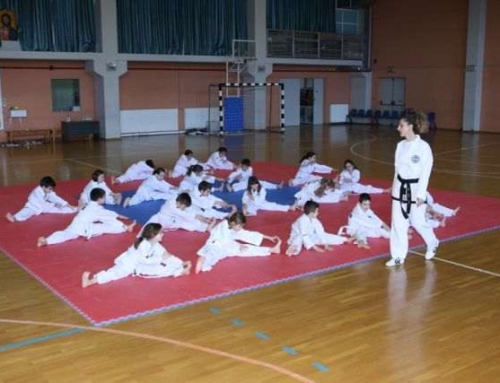 Προαγωγικές εξετάσεις τού Ομίλου Tae Kwon Do ITF