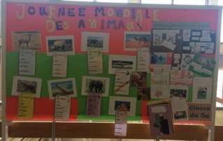 Journée Mondiale des Animaux