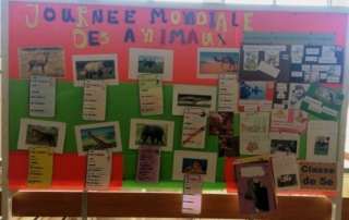 Journée Mondiale des Animaux (4 octobre)