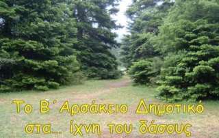Το Β΄ Αρσάκειο Δημοτικό στα ίχνη τού δάσους...