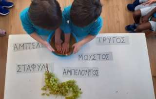 Αμπελουργοί εν δράσει!