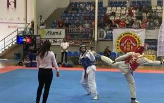 Aργυρό μετάλλιο στο Πρωτάθλημα TAE KWON DO  