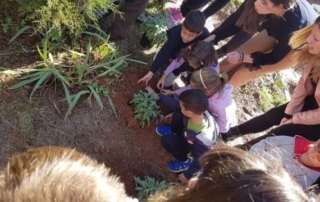«Ιπποκράτης και ιπποκράτεια βότανα»