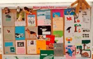 Journée Mondiale des Animaux