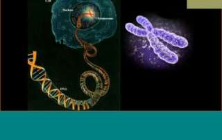 DNA και αυθεντικότητα τροφίμων