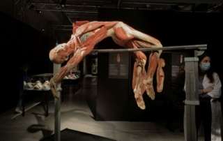 Έκθεση BODY WORLDS