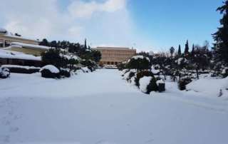 Λευκή "Ελπίς" - Μια άλλη ματιά στο Σχολείο