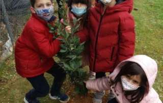 Δενδροφυτεύουμε στο Νηπιαγωγείο μας…