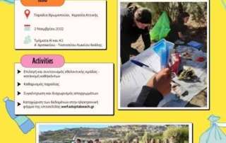 Καθαρίζοντας την παραλία που υιοθετήσαμε!