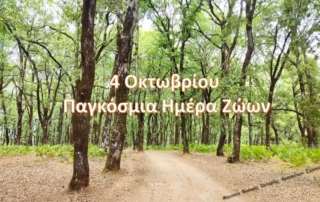 Επίσκεψη στο Μουσείο Φυσικής Ιστορίας τής Φ.Ε.