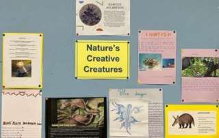 Nature’s Creative Creature