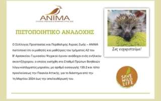 Ένας γκιώνης, ένας σκαντζόχοιρος, ένας μπούφος, μια γερακίνα και μια αλεπού στο Σχολείο μας!