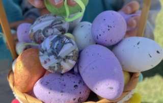 Easter Egg Hunt
