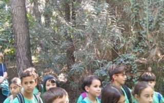 «Τα φυτά των μύθων, των θεών και των ηρώων»