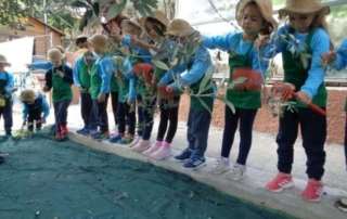 «Γκρίζα κι ασημοπράσινη, απ’ τον ήλιο χρυσωμένη… » (Ύμνος στην ελιά)