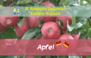 Apfel - Συγκομιδή μήλων