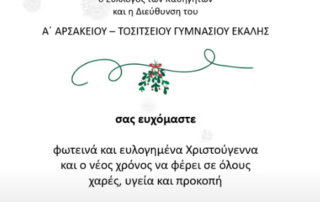 Χριστουγεννιάτικη εορταγορά 2024