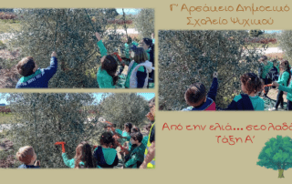 «Από την ελιά… στο λαδάκι»