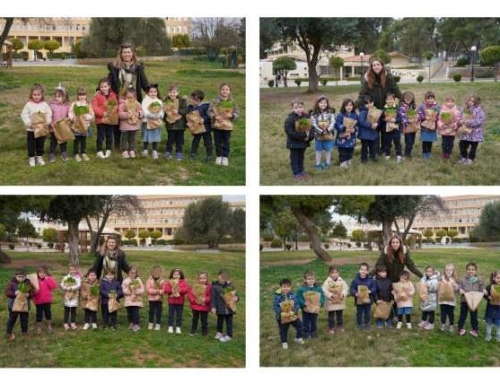 Μαρούλια και κρεμμυδάκια βιολογικά, για υγιεινή σαλάτα, όλο νοστιμιά!