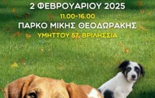 Φιλοζωκιές δράσεις 