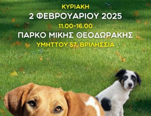 Φιλοζωικές δράσεις 