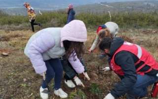 Δράση δενδροφύτευσης στον Δήμο Διονύσου 