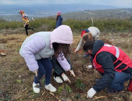 Δράση δενδροφύτευσης στον Δήμο Διονύσου 