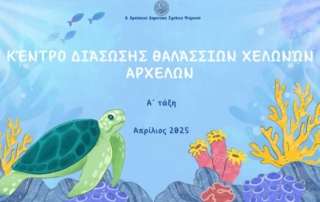 Κέντρο Διάσωσης Θαλάσσιων Χελωνών "ΑΡΧΕΛΩΝ"