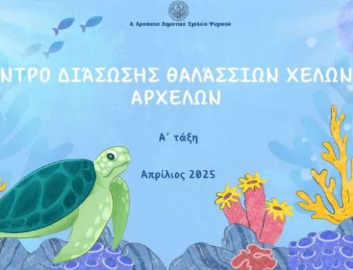 Κέντρο Διάσωσης Θαλάσσιων Χελωνών “ΑΡΧΕΛΩΝ”