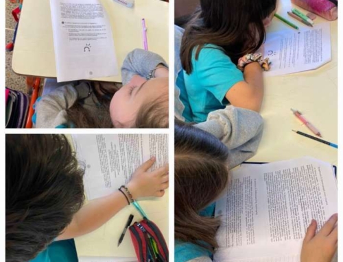 Erasmus+ project “CogniQuest”